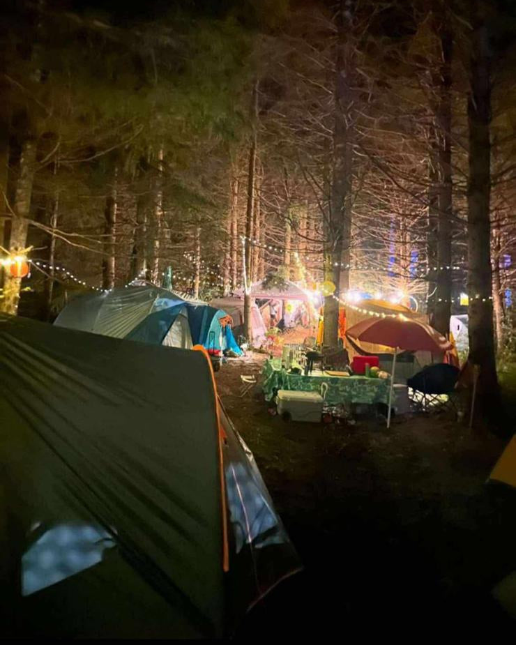 Camp Whimsy